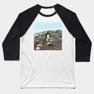 Adelie penguin in Antarctica Baseball T-Shirt